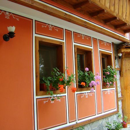 Guest House Todorini Kashti Koprivştitsa Dış mekan fotoğraf