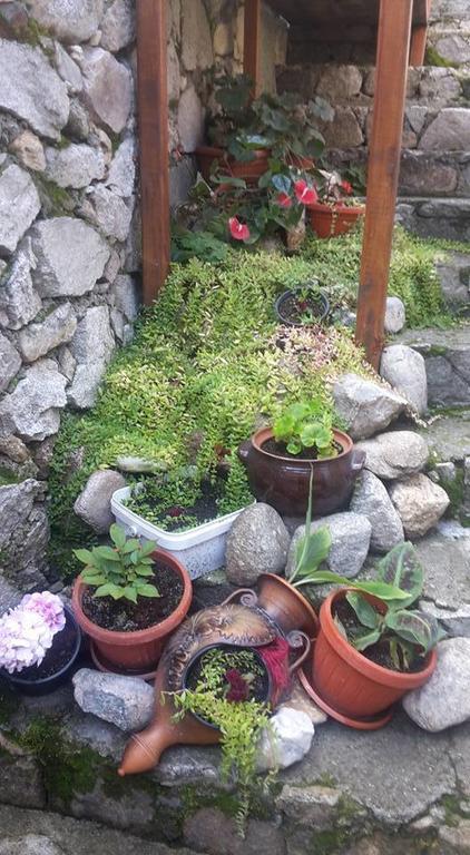 Guest House Todorini Kashti Koprivştitsa Dış mekan fotoğraf